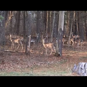 Meet your Posher, Cindy